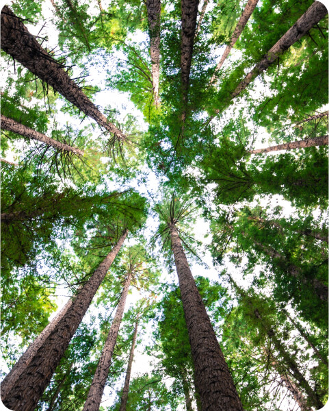 A hand holding an iPhone with reminders on screen